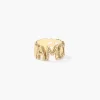 AMORES-ring