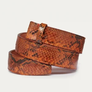 Ceinture Python