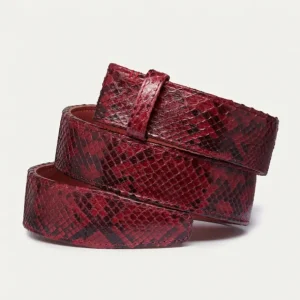 Ceinture Python